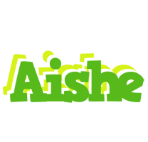 Aishe picnic logo