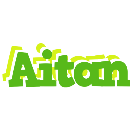 Aitan picnic logo