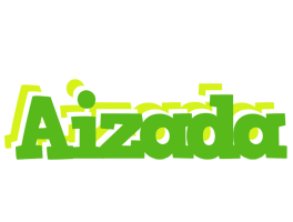 Aizada picnic logo