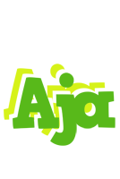 Aja picnic logo