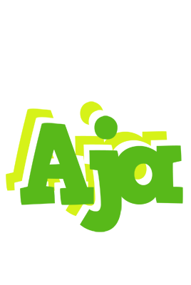 Aja picnic logo