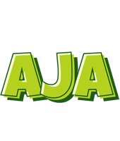Aja summer logo