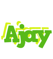 Ajay picnic logo