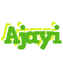 Ajayi picnic logo