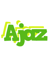 Ajaz picnic logo