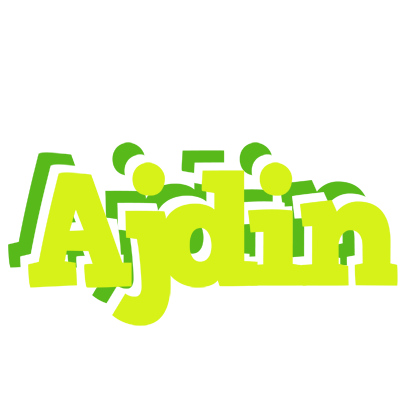 Ajdin citrus logo