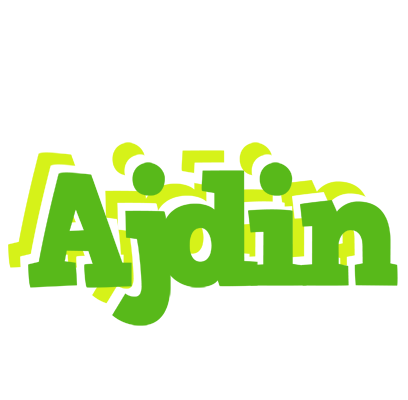 Ajdin picnic logo
