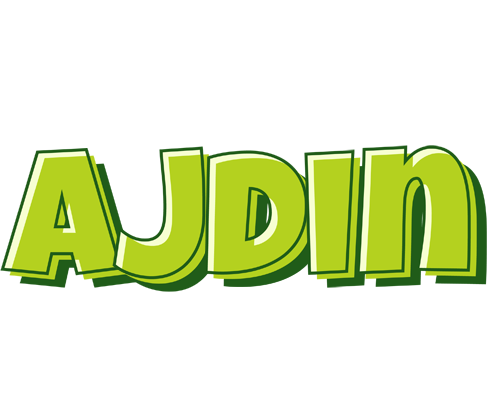Ajdin summer logo