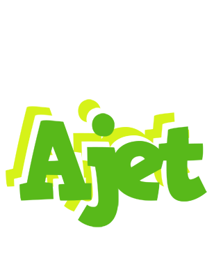 Ajet picnic logo