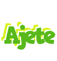 Ajete picnic logo