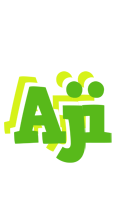 Aji picnic logo