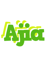 Ajia picnic logo