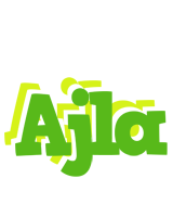 Ajla picnic logo