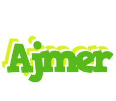 Ajmer picnic logo