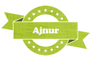 Ajnur change logo