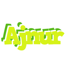 Ajnur citrus logo