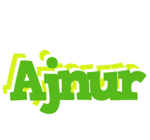 Ajnur picnic logo