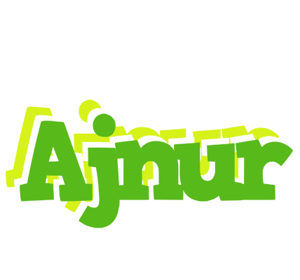 Ajnur picnic logo