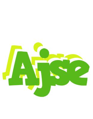 Ajse picnic logo
