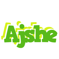Ajshe picnic logo