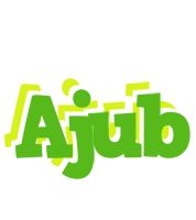 Ajub picnic logo