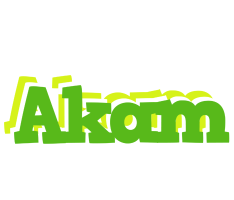 Akam picnic logo