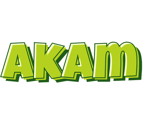 Akam summer logo