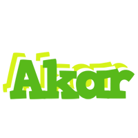 Akar picnic logo