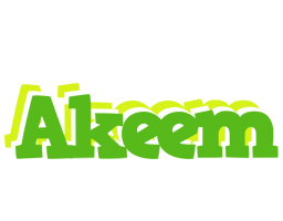 Akeem picnic logo