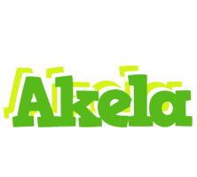 Akela picnic logo
