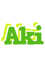 Aki picnic logo