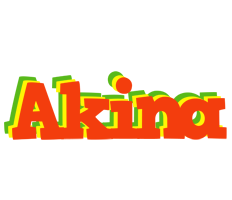 Akina bbq logo