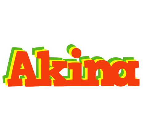 Akina bbq logo