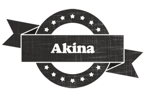 Akina grunge logo
