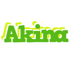 Akina picnic logo