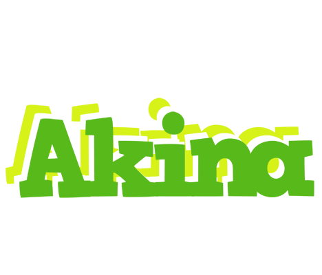 Akina picnic logo