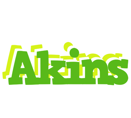Akins picnic logo