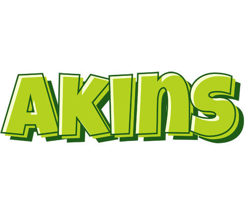 Akins summer logo