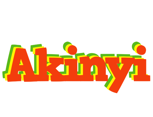 Akinyi bbq logo