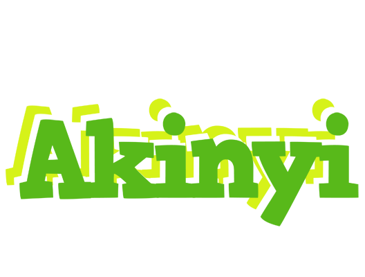 Akinyi picnic logo