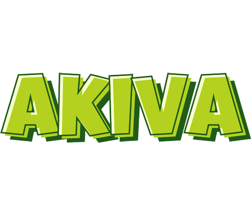Akiva summer logo