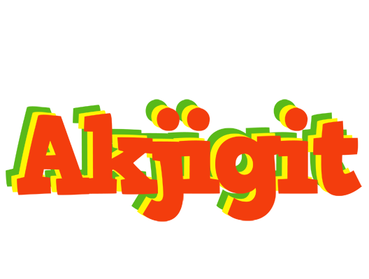 Akjigit bbq logo