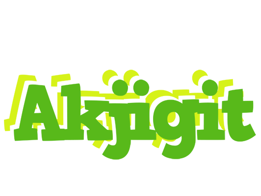 Akjigit picnic logo