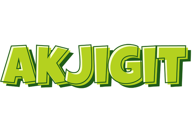 Akjigit summer logo