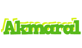 Akmaral picnic logo