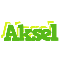 Aksel picnic logo