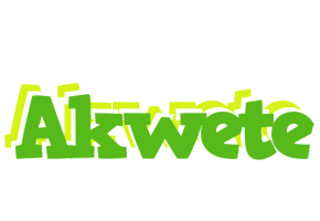 Akwete picnic logo