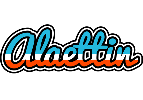 Alaettin america logo