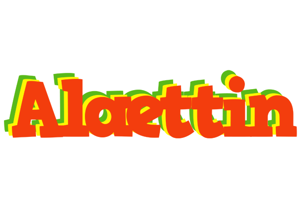 Alaettin bbq logo