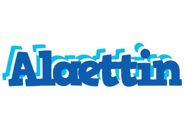 Alaettin business logo